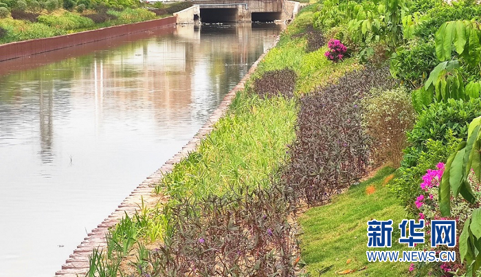 微信图片_20201203171434.png